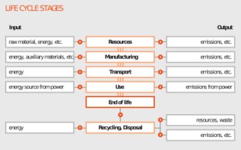 The life cycle stages